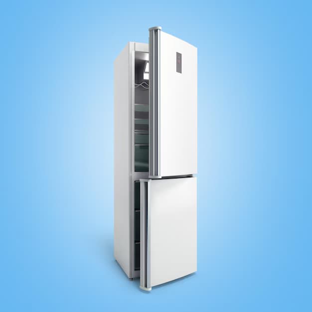 Double Door Refrigerator Repair in swastik park chembur east mumbai india